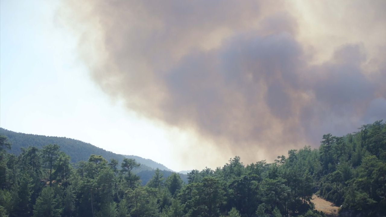 Muğla'daki Orman Yangınına Hızlı Müdahale