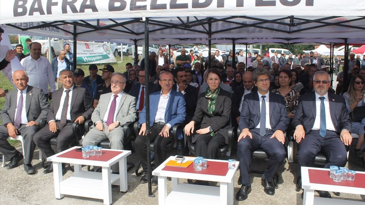 Samsun'da Çeltik Yetiştiriciliği Hasat Günü