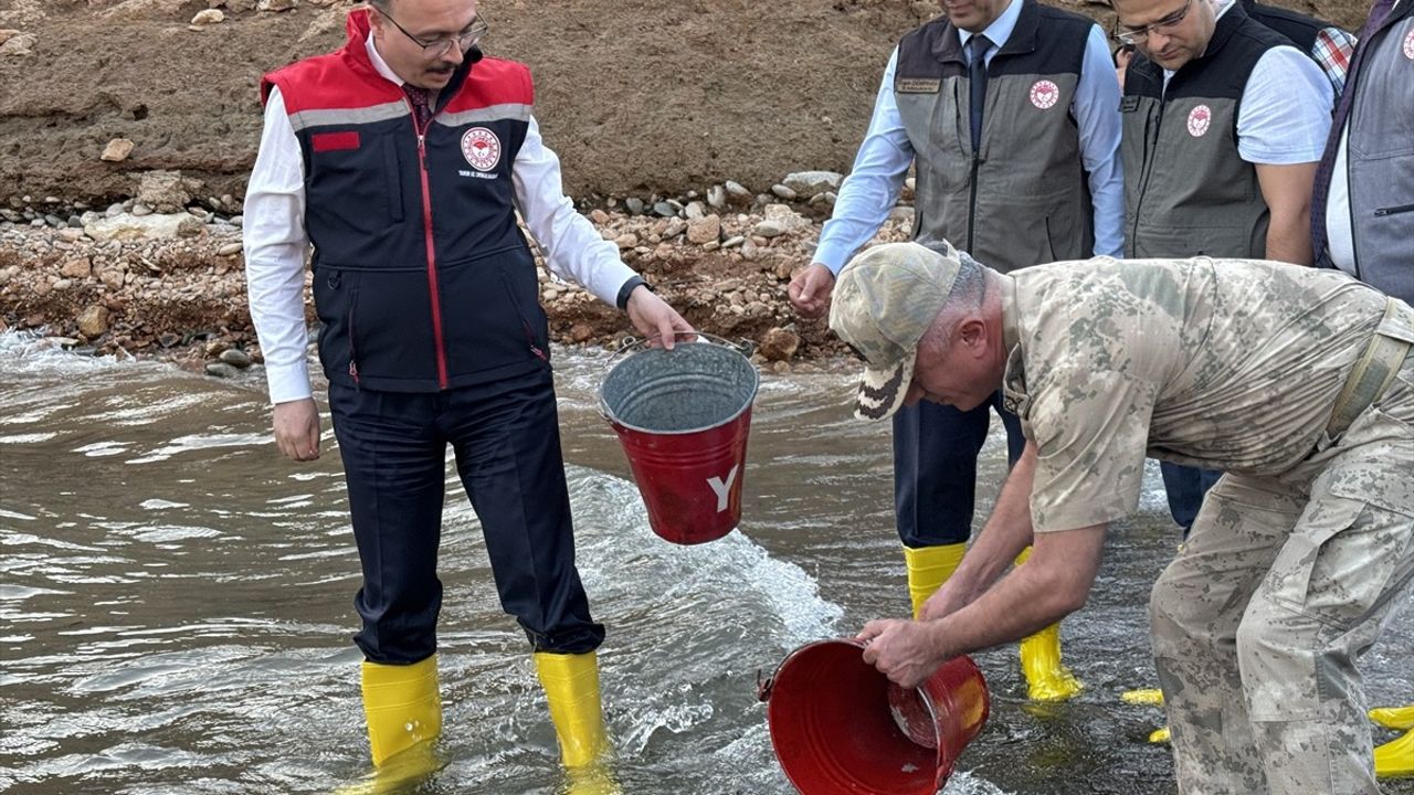 Siirt'te 1 Milyon Sazan Yavrusu Barajlara Bırakıldı