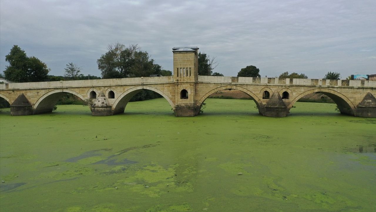 Tunca Nehri'nde Yosun ve Su Mercimekleri Yayılıyor