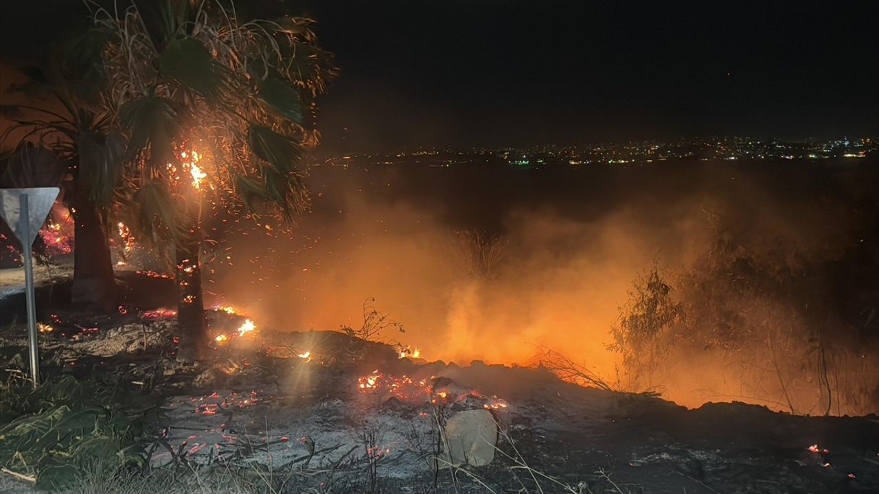 Adana'daki Orman Yangınına Zorlu Müdahale