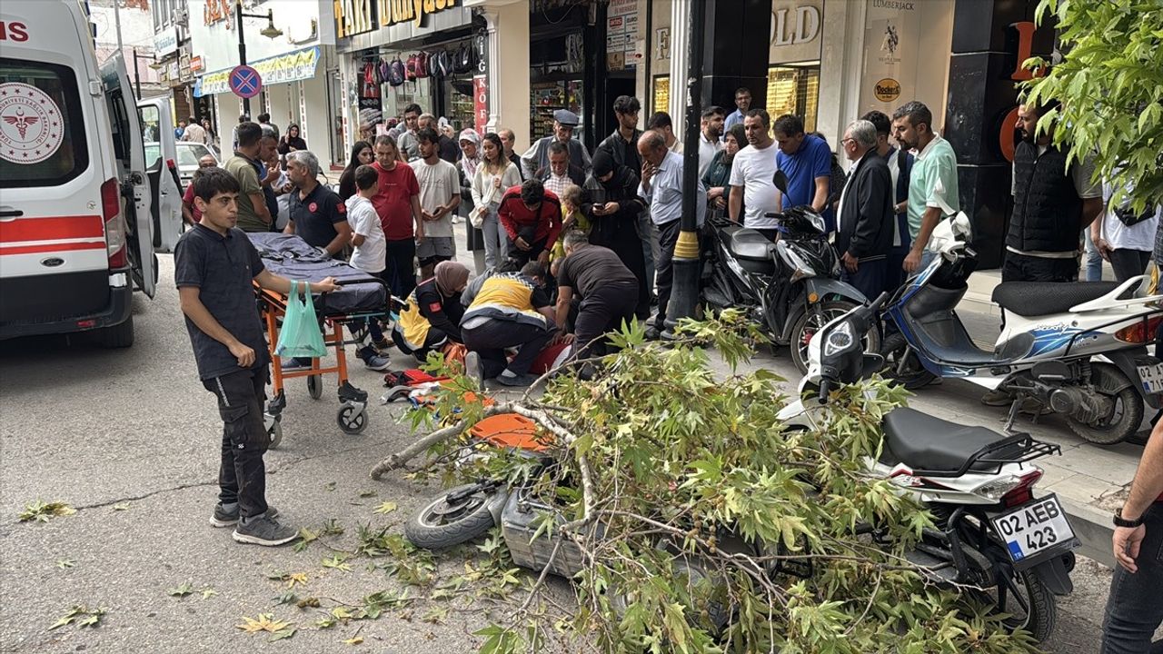 Adıyaman'da Rüzgarın Kırdığı Dal, Motosiklet Sürücüsünü Yaraladı