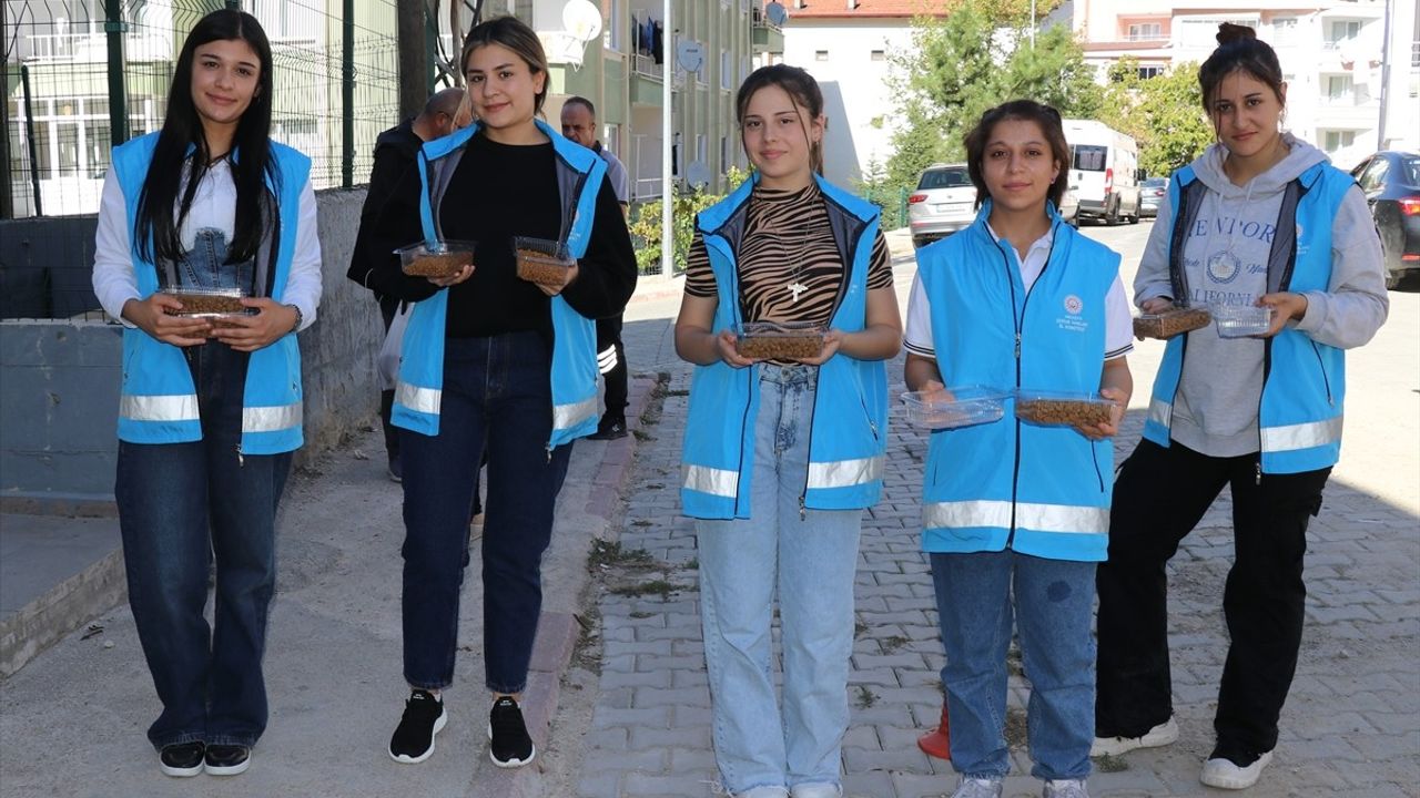 Amasya'da Öğrenciler Sokak Hayvanları için Mama ve Su Bıraktı