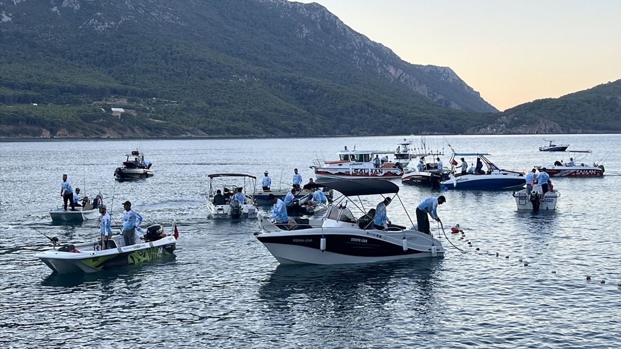 Antalya'da Amatör Balık Yarışması Başladı