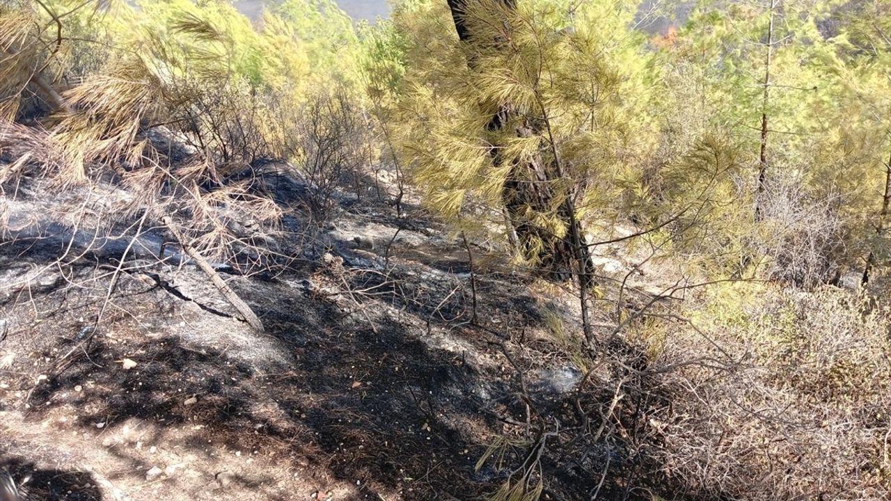 Antalya'da Orman Yangını: 2 Hektar Zarar Gördü