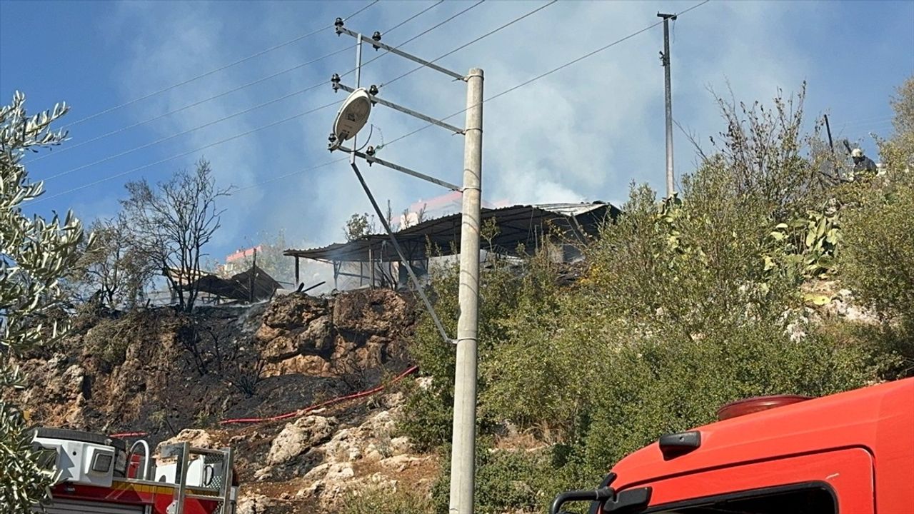 Antalya'da Yangın Felaketi: 50 Küçükbaş Hayvan Telef Oldu