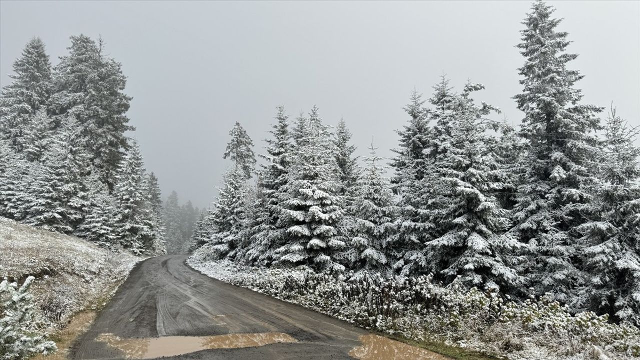 Artvin'deki Köy Yolları Ulaşıma Açıldı