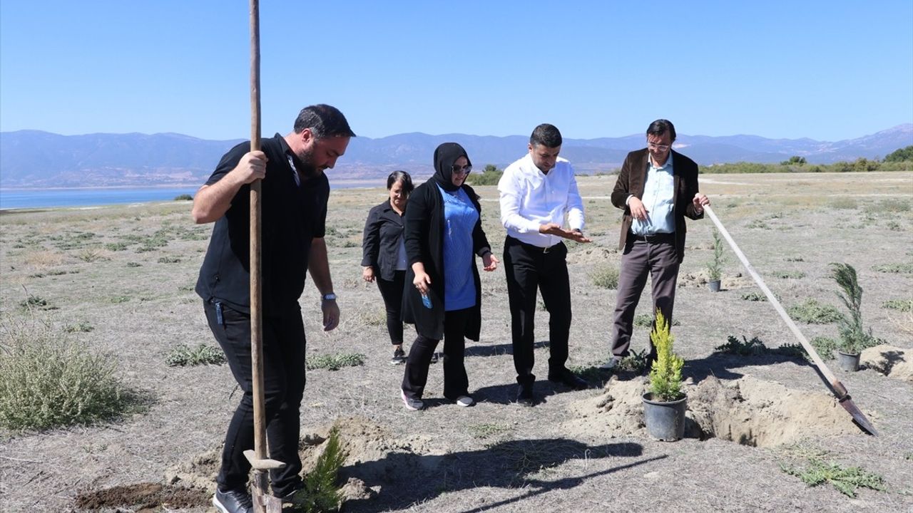 Burdur Gölü Kuruma Tehdidi Altında, Gazeteciler Ağaç Dikti