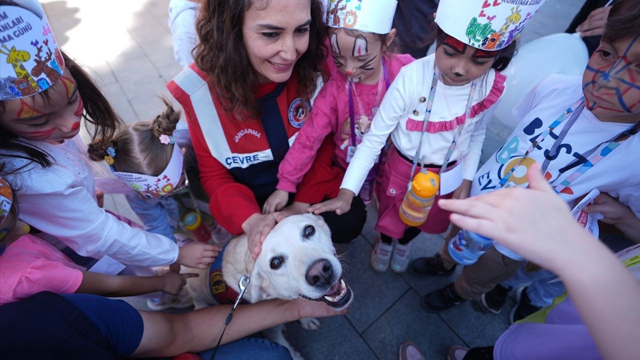 Düzce'de Hayvanları Koruma Günü Kutlandı