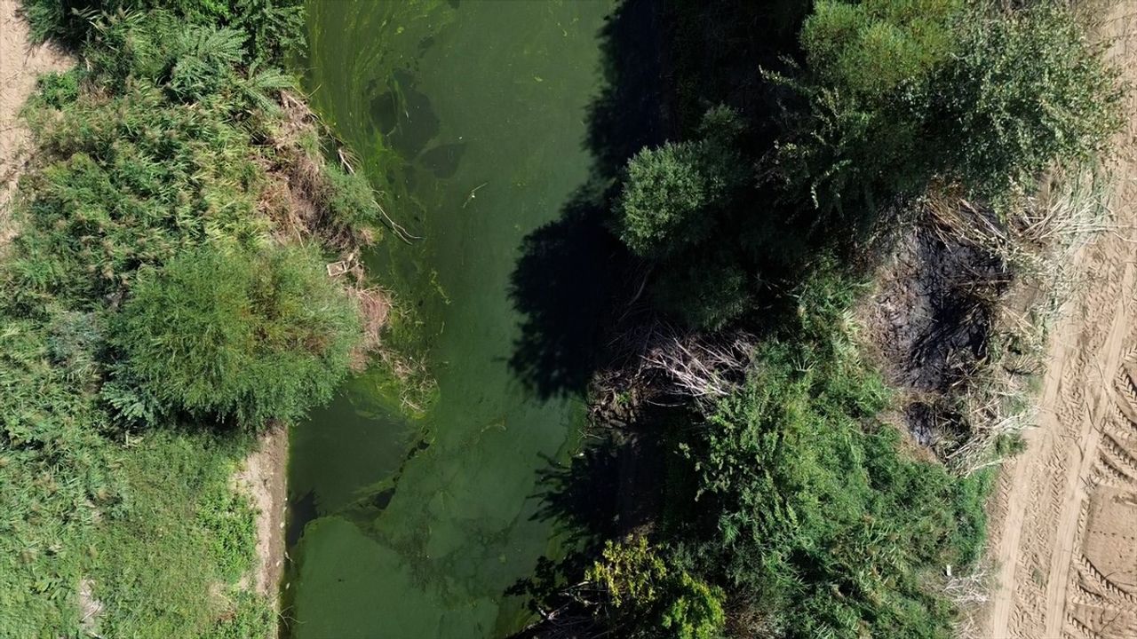 Eğirdir Gölü'nü Koruma Eylem Planı Uygulamada