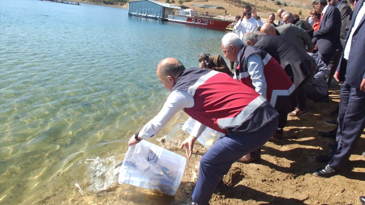 Elazığ'da Göl ve Göletlere 3 Milyon Sazan Yavrusu Takviyesi Yapılacak