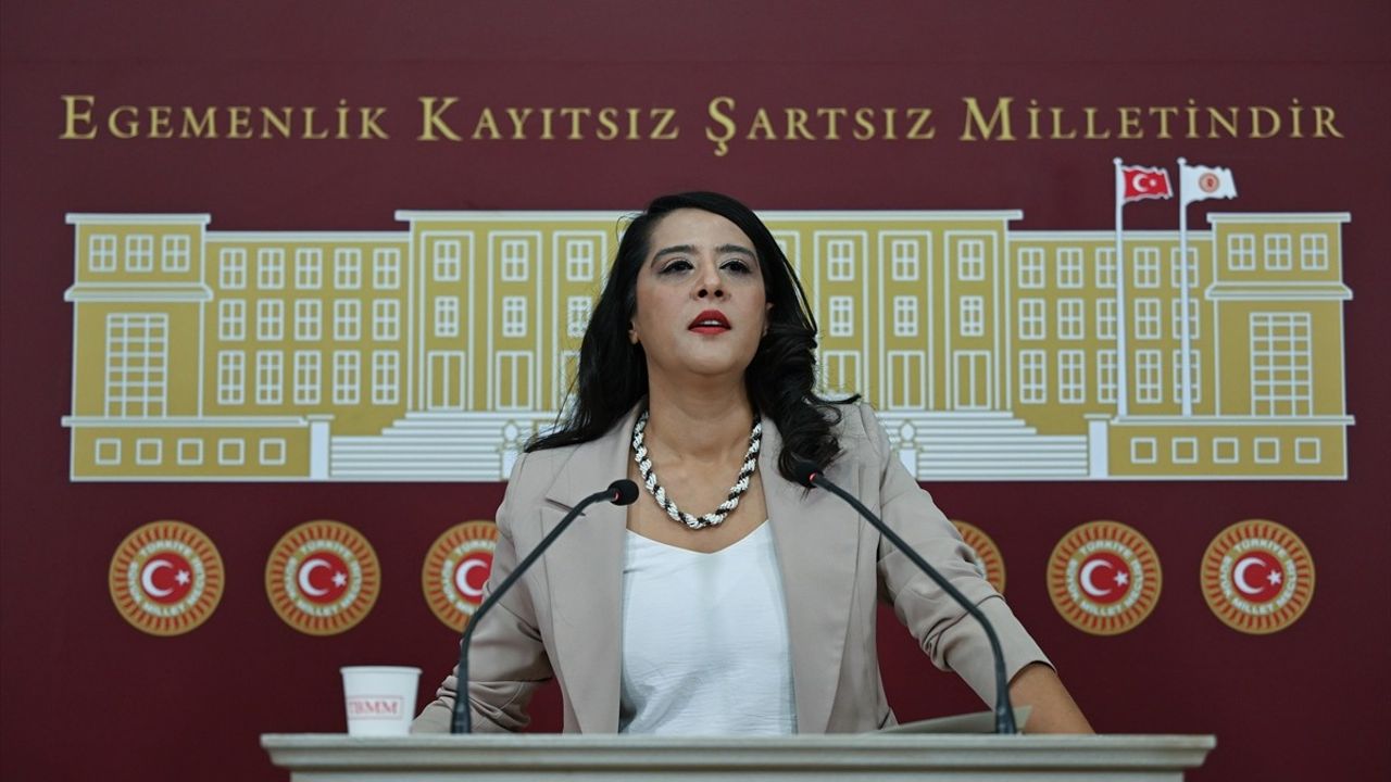 EMEP Milletvekili Sevda Karaca Demir'den Barış ve Çözüm Çağrısı