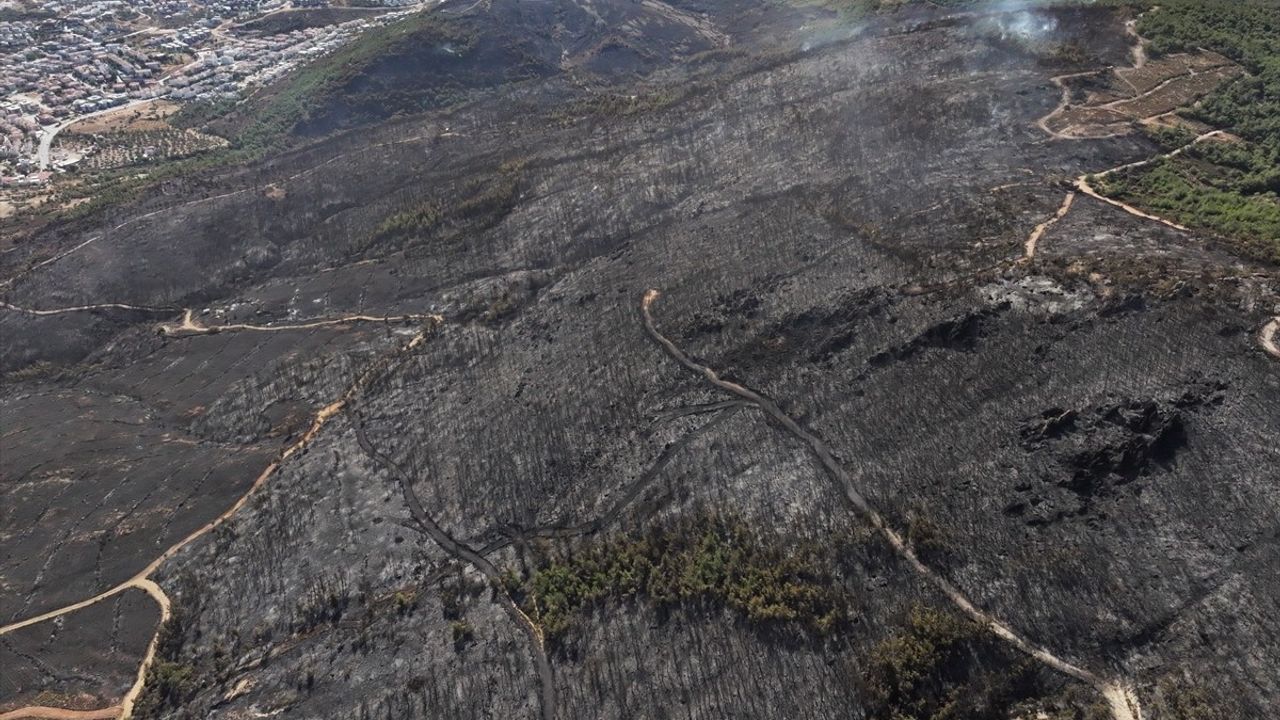 Foça'daki Yangın Havadan Görüntülendi: Hasar Alanları Ortaya Çıktı