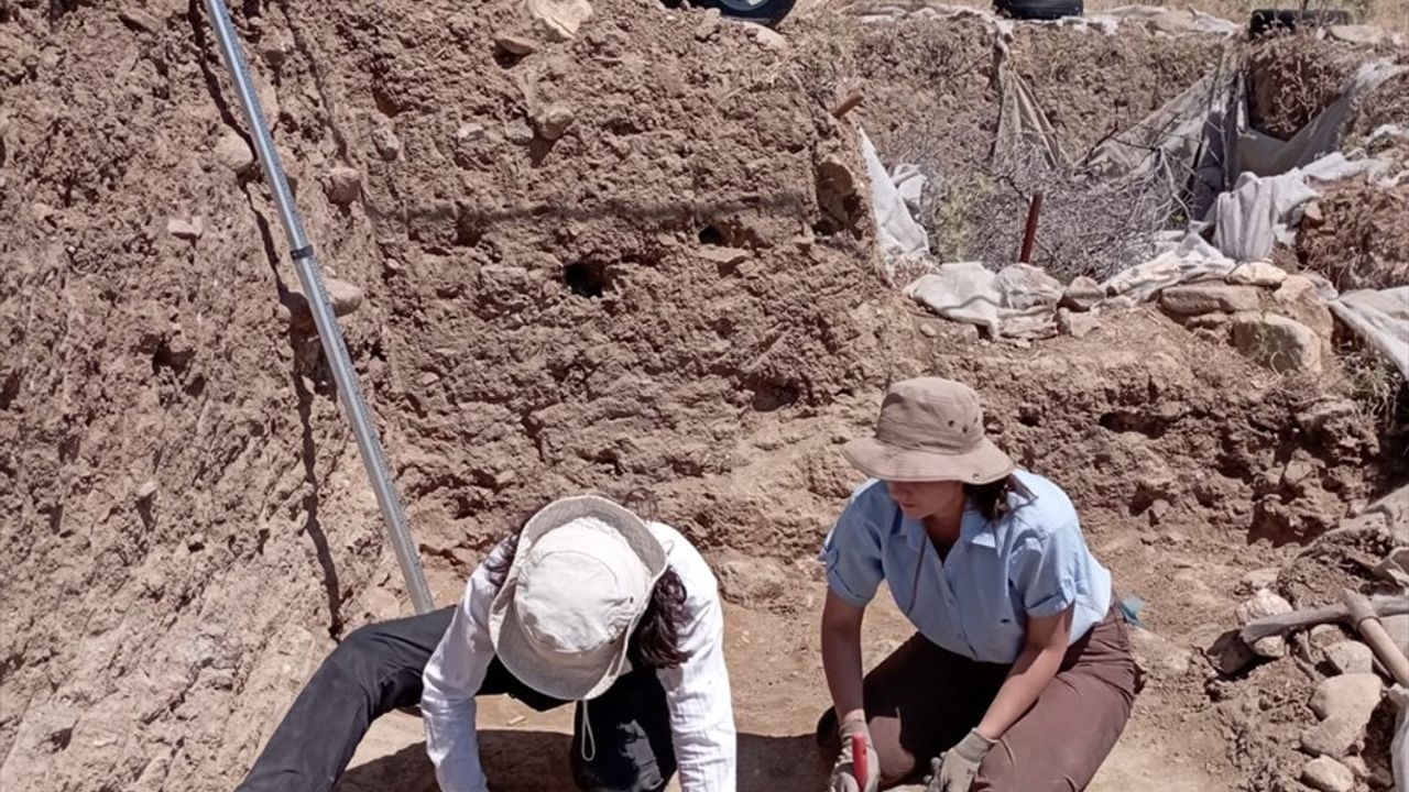 Gökçeada'nın Tarım ve Hayvancılık Geçmişi: 8 Bin 800 Yıl Önceye Uzanan İzler