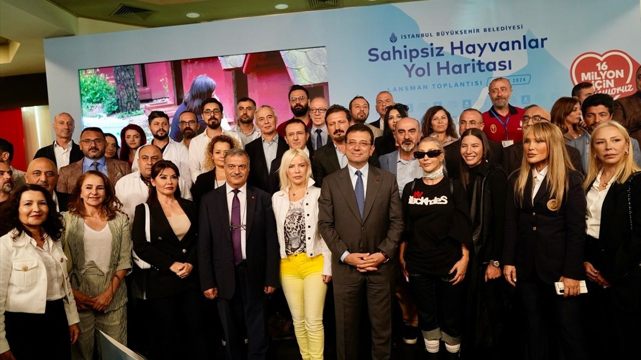 İBB'den Sahipsiz Hayvanlar İçin Yeni Yol Haritası