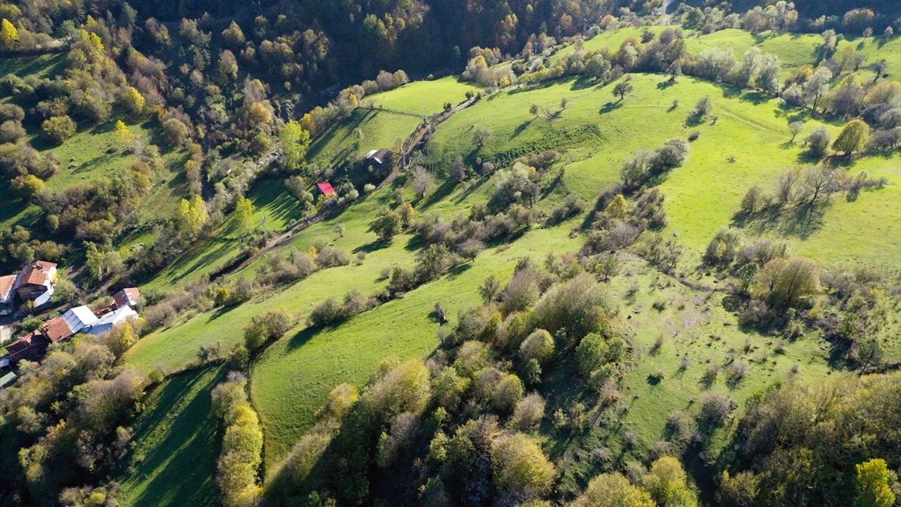 Ilgaz Dağı'nda Kış ve Sonbahar Bir Arada