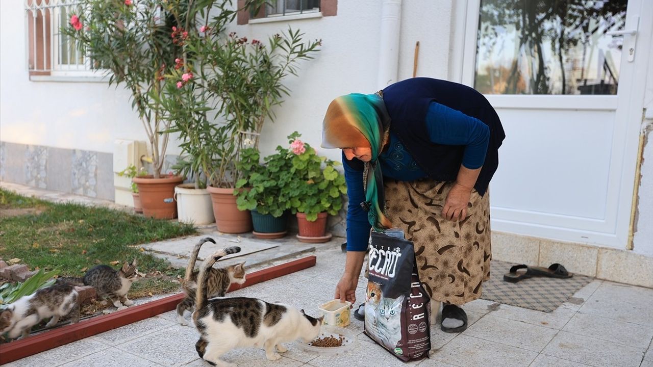 Kayseri'de Yaşlı Kadının Kedi Mama Talebi Yerine Getirildi