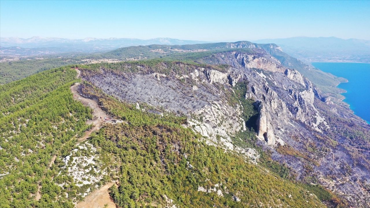 Menteşe'de Ekipler Yangınla Mücadelede Başarı Gösterdi