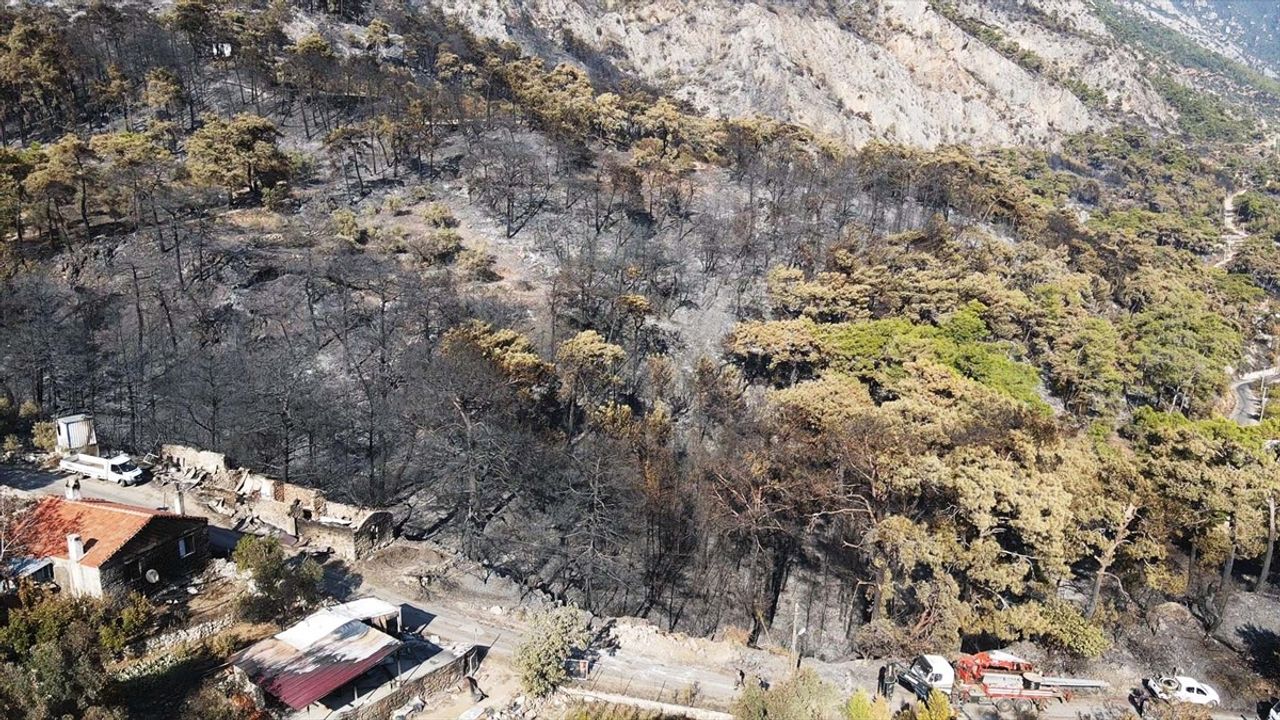 Menteşe'deki Orman Yangını Havadan Görüntülendi