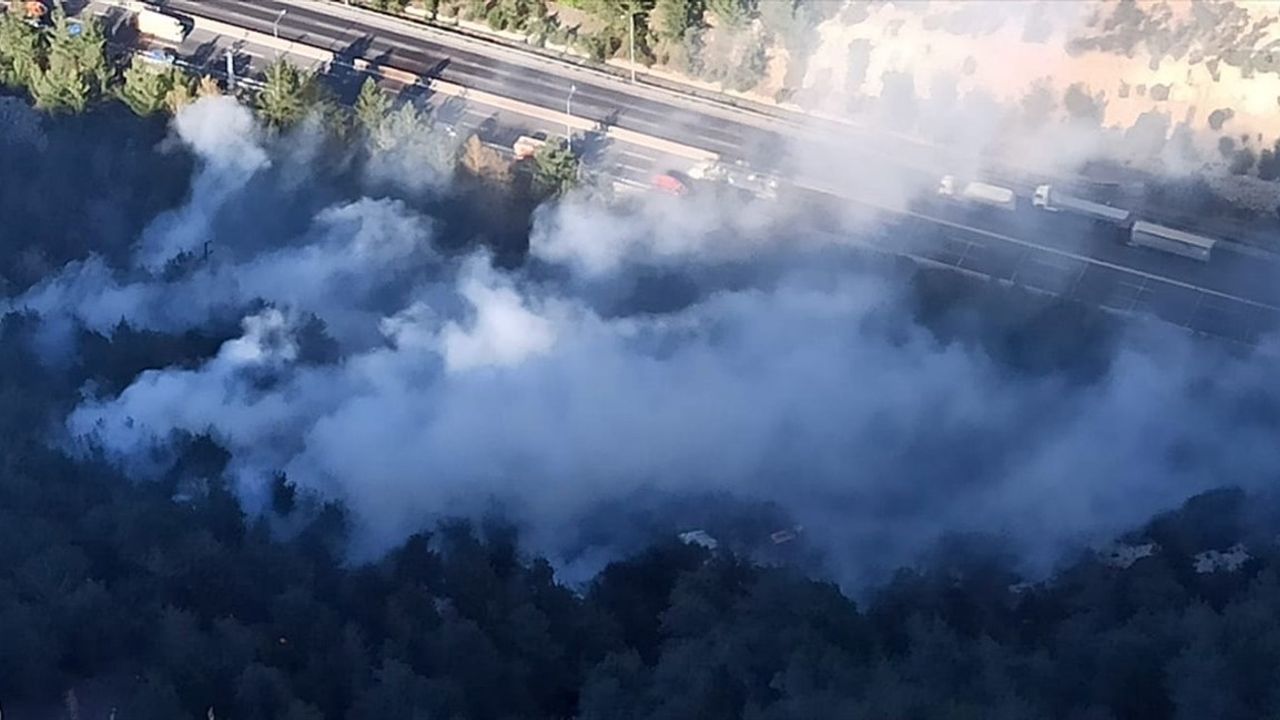 Mersin'de Orman Yangınına Müdahale Devam Ediyor