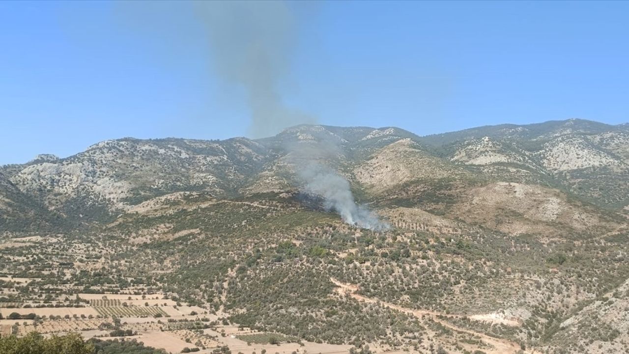 Muğla'da Tarım Alanında Yangın: 2 Hektar Zarar Gördü