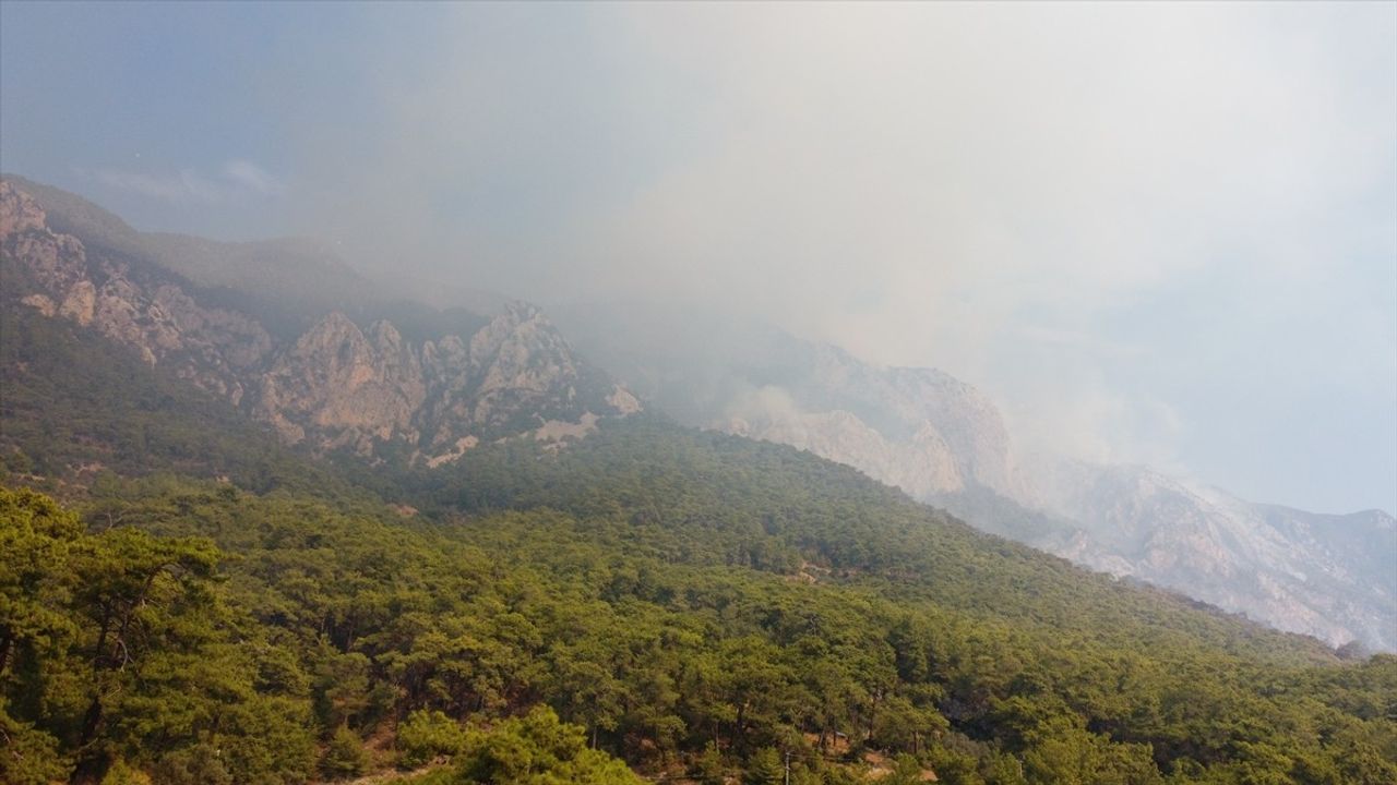 Muğla'daki Orman Yangınlarına Müdahale Devam Ediyor