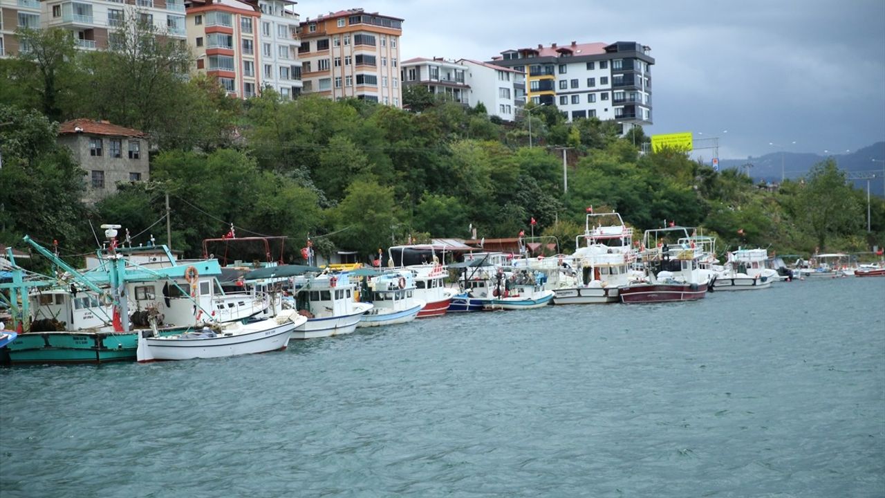 Ordu'da Olumsuz Hava Koşulları Balıkçılığı Olumsuz Etkiliyor