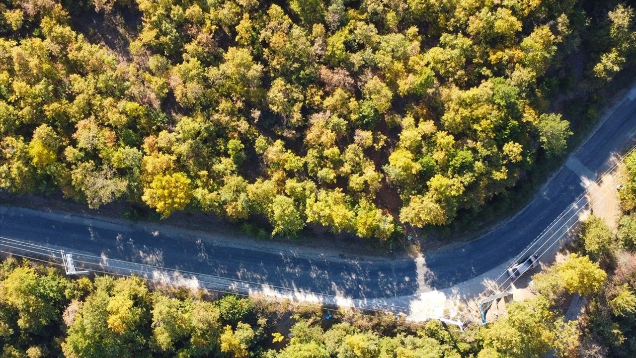 Ovacık Yaylası'nda Sonbahar Renkleri Doğaseverleri Büyülüyor