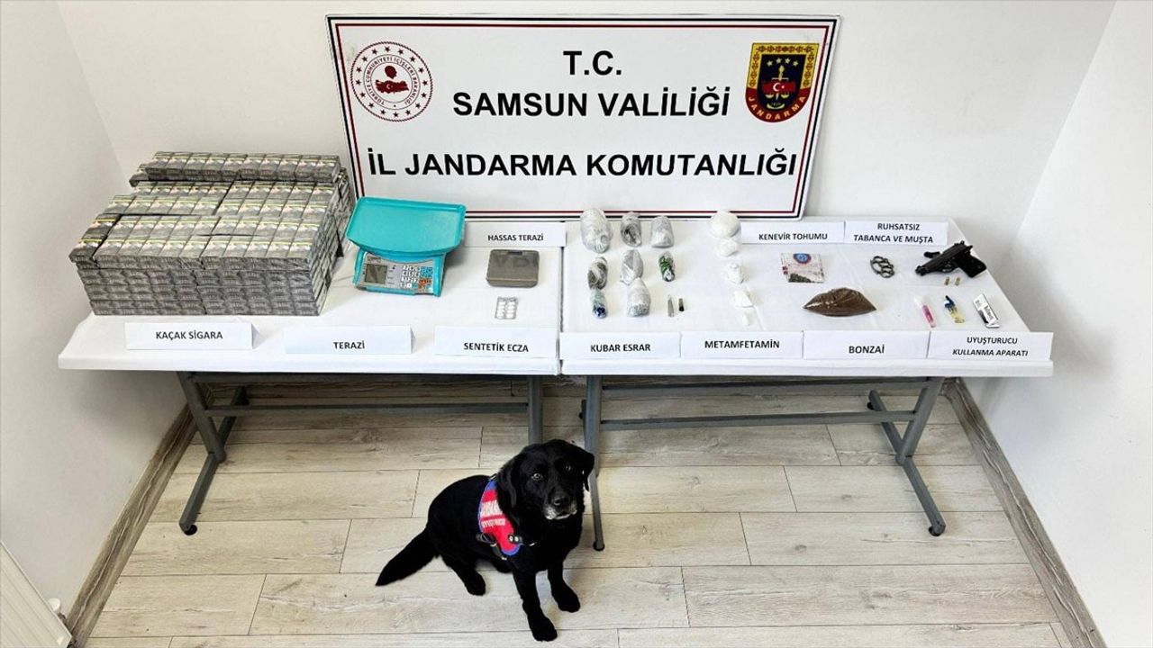 Samsun'da Narkotik Operasyonu: 'Tahra' Uyuşturucu İle Mücadelede Başarılı