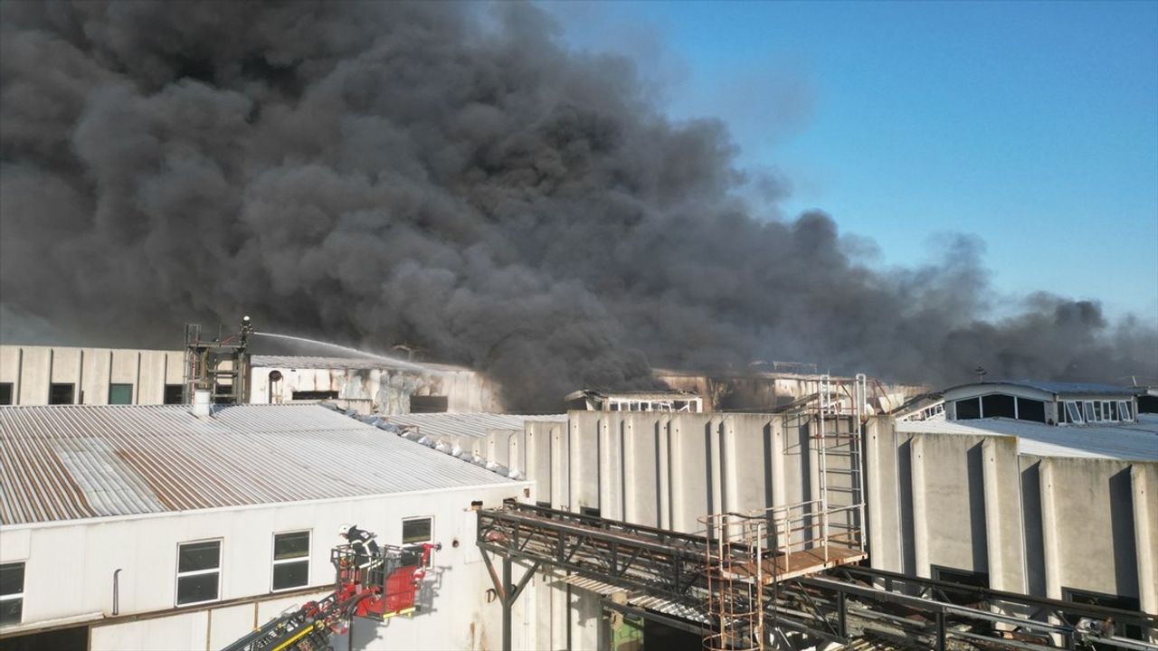 Tekirdağ'da Deri Fabrikasında Yangın: Müdahale Devam Ediyor