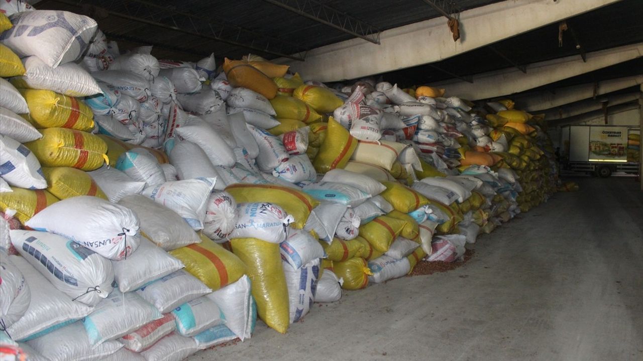 Tokat'ta Çiftçilerden Fındıkta Rekor Verim