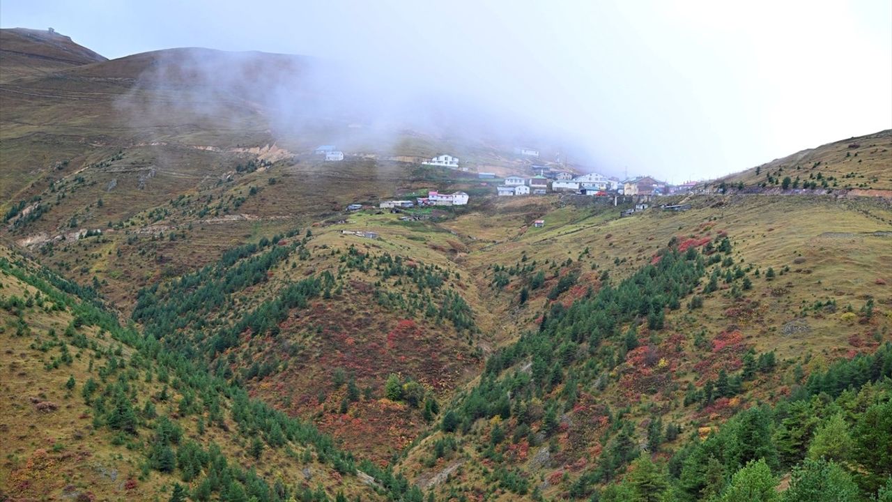 Zigana Dağı'nda Sonbahar Renkleri