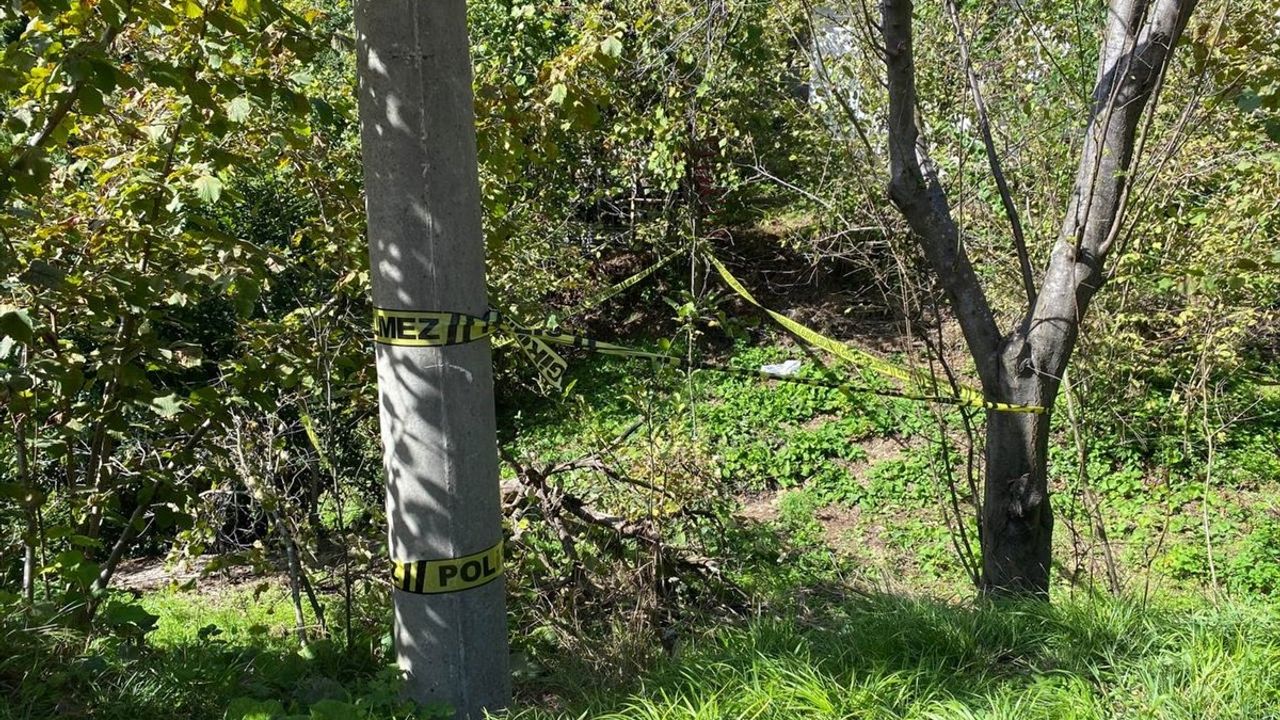 Zonguldak'ta Domuz Sanılarak Vurulan Kadın Hayatını Kaybetti