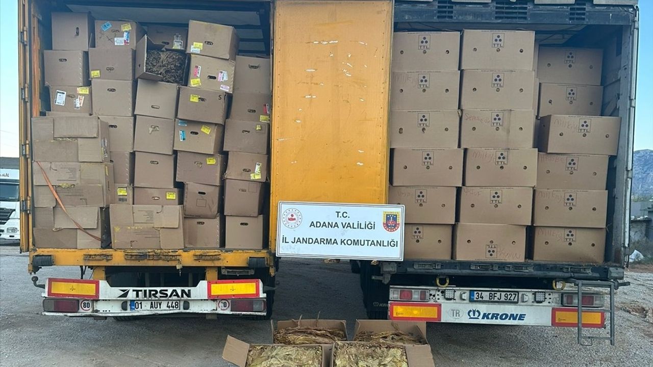 Adana'da 23 Ton Kaçak Tütün Yakalandı