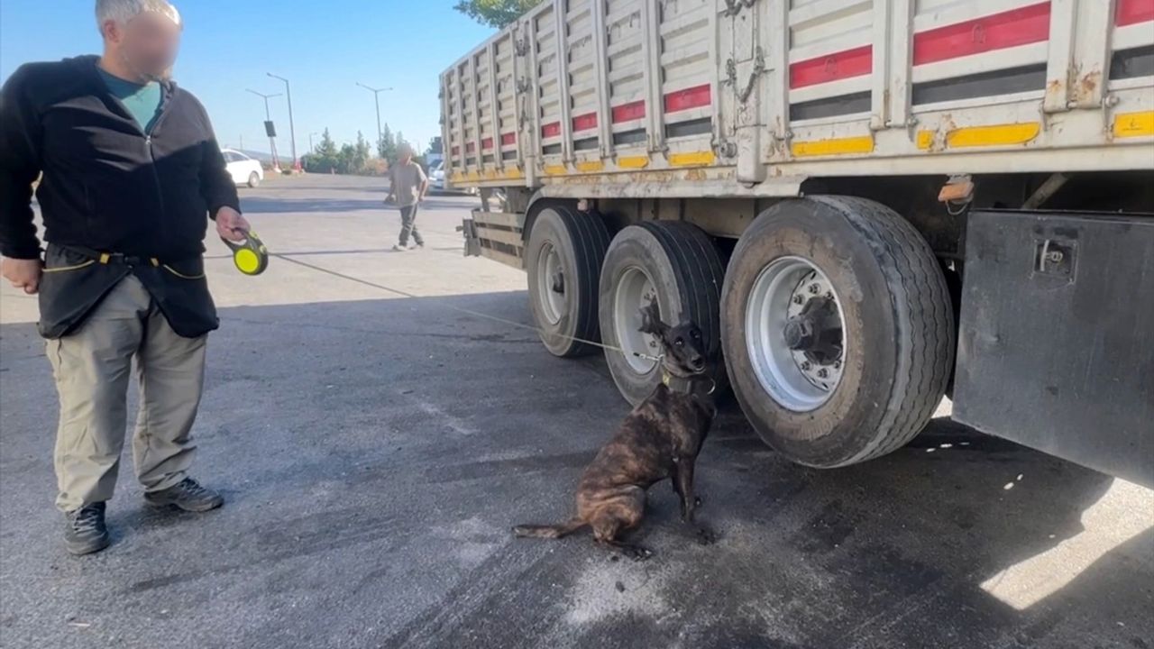 Adana'da Tırında Gizli 53 Kilogram Esrar Ele Geçirildi