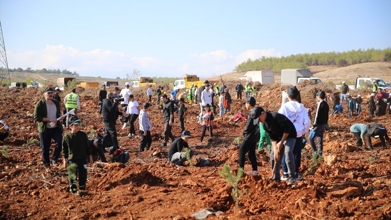 Antalya ve Çevresinde Fidanlar Toprakla Buluştu