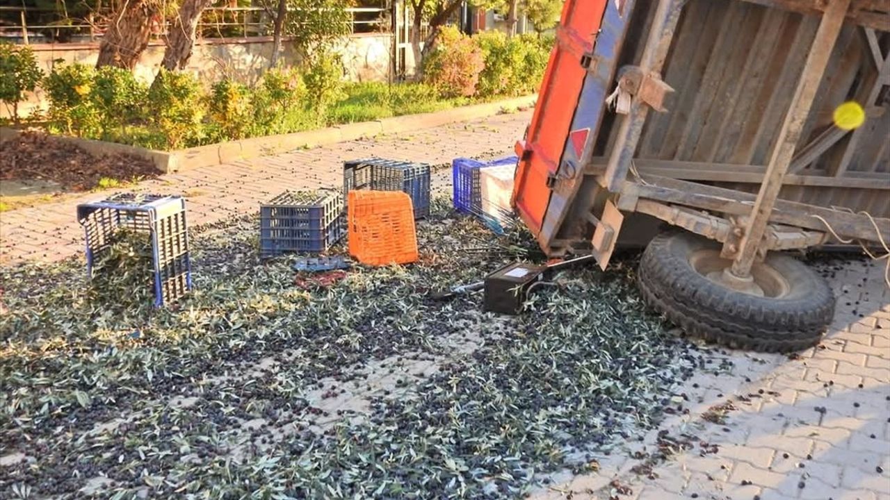 Balıkesir’de Zeytin İşçilerini Taşıyan Traktör Devrildi, 5 Yaralı