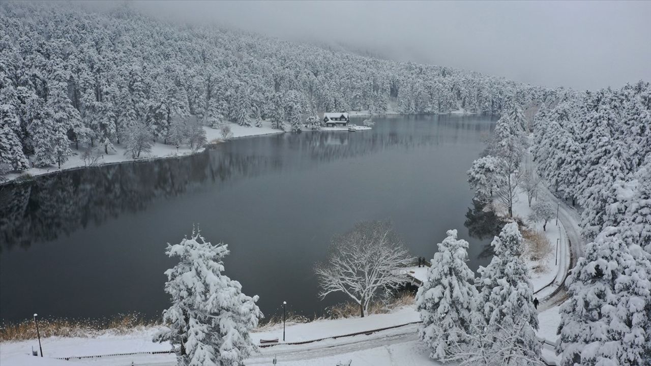 Bolu'da Kışın Keyfini Çıkarın: Gölcük Tabiat Parkı Beyaza Büründü