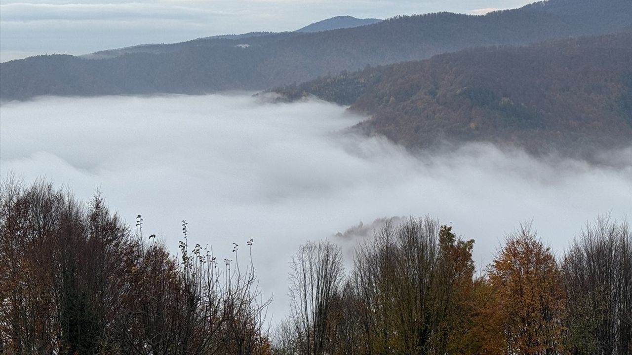 Bolu Dağı'nda Eşsiz Manzara ve Dinlenme Noktaları