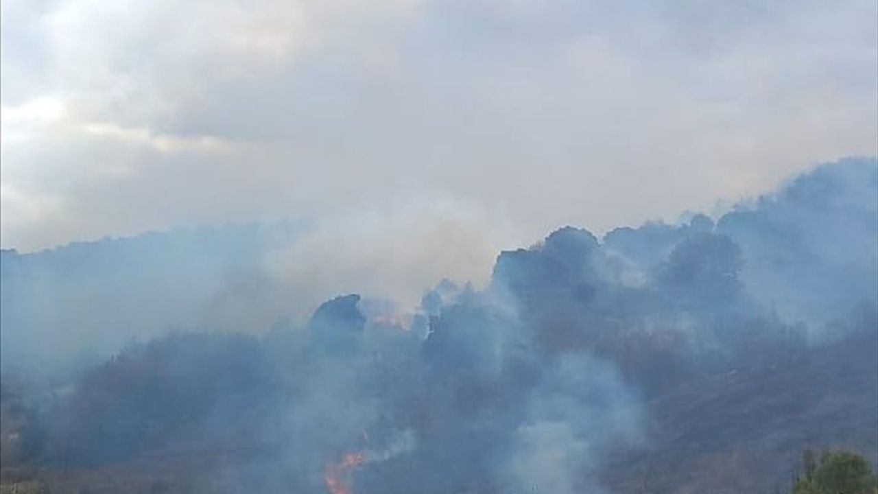 Çanakkale Biga'da Yangın Mücadelesi