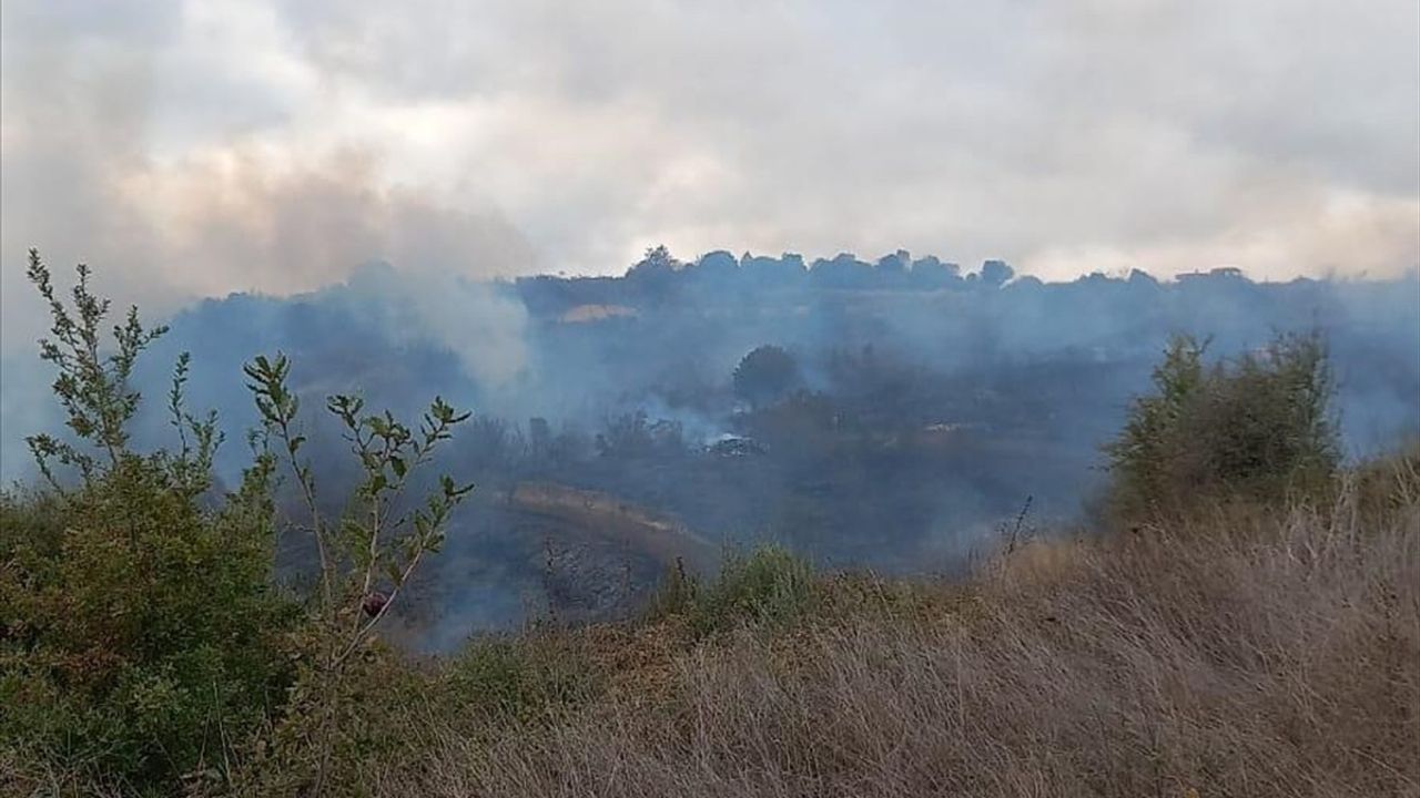 Çanakkale'deki Orman Yangını Kontrol Altına Alındı