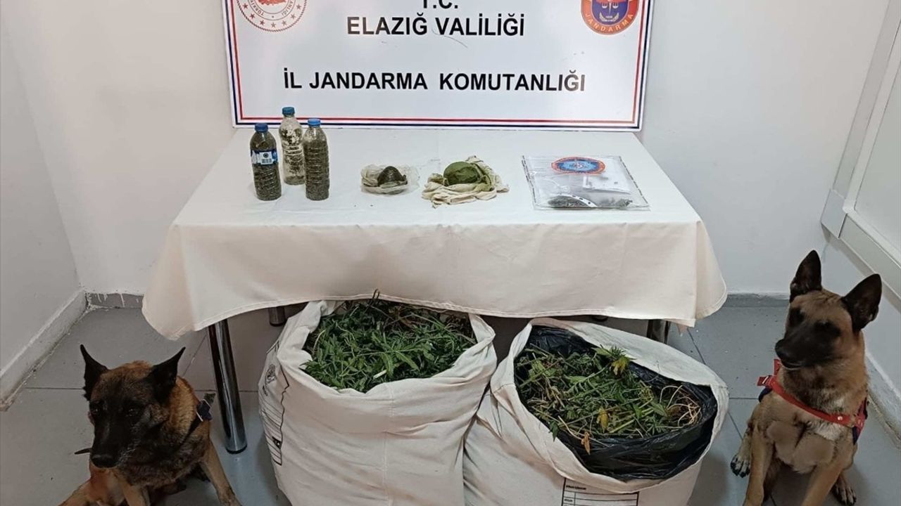 Diyarbakır'da Uyuşturucu Operasyonu: 11 Kilogram Esrar Ele Geçirildi