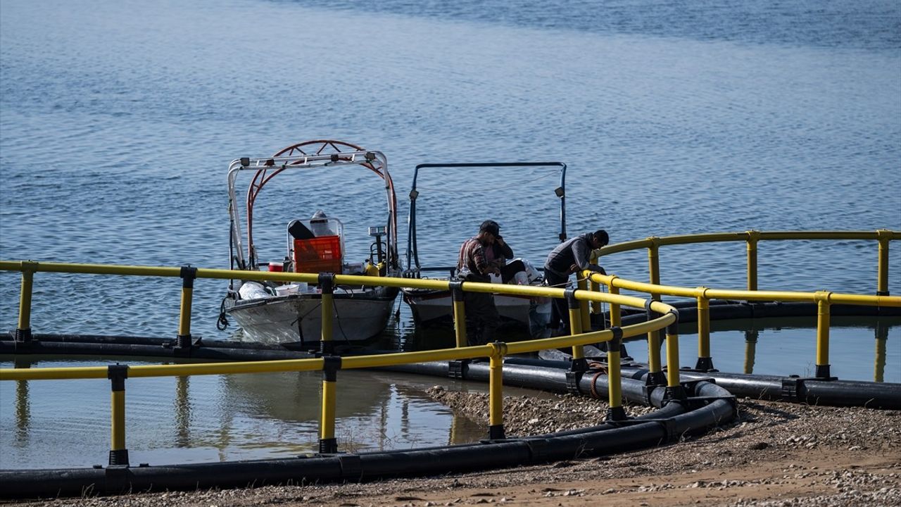 Duhok'taki Balık Üretim Tesisinde 1000 Ton Balık Eti Üretiliyor