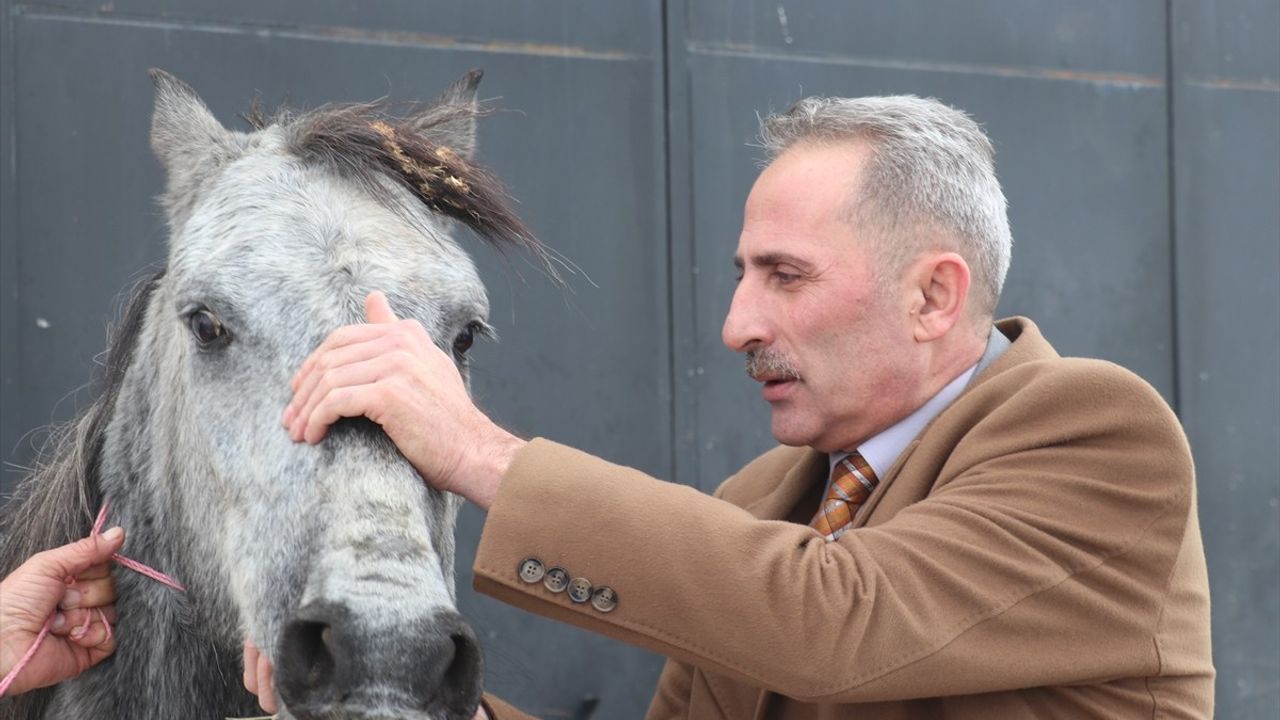 Erzurum'da Sokak Ortasında Bulunan Atın Durumu Açıklandı