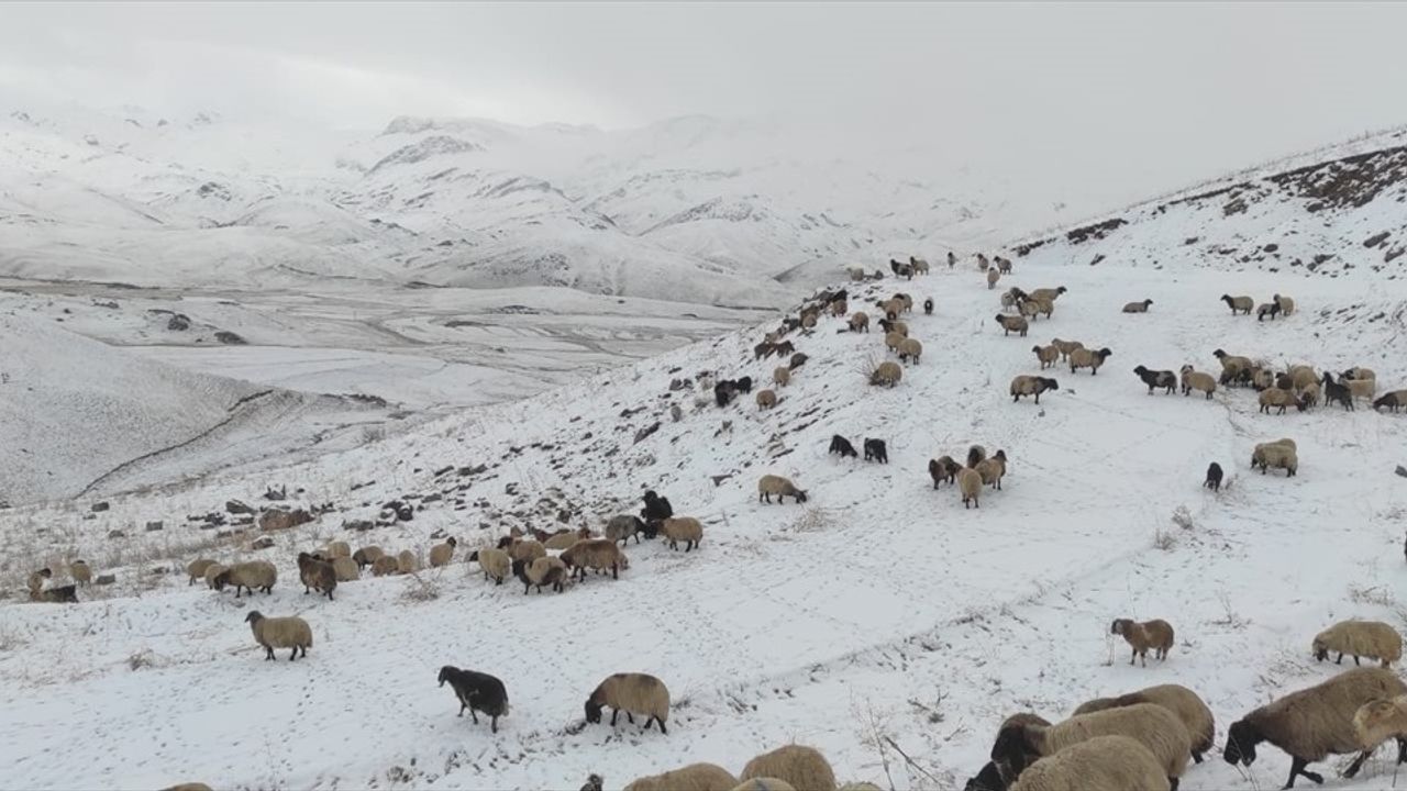 Faraşin Yaylası'nda Kar Yağışı Etkili Oldu