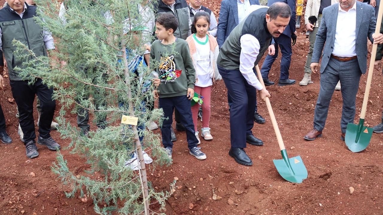 Fidanlar Toprakla Buluştu: Ağaçlandırma Seferberliği