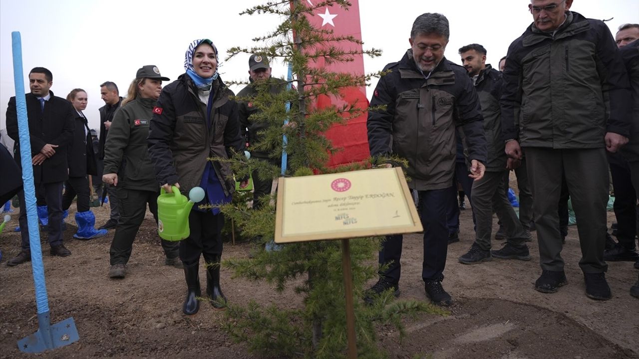 Geleceğe Nefes: Türkiye Ağaçlandırma Seferberliği