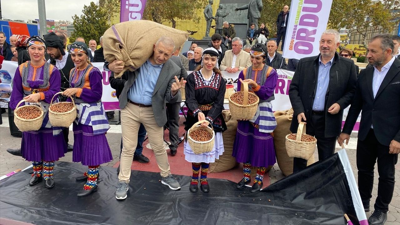 Kadıköy'de Yöresel Fındık Dağıtımı Ve Kültürel Etkinlik