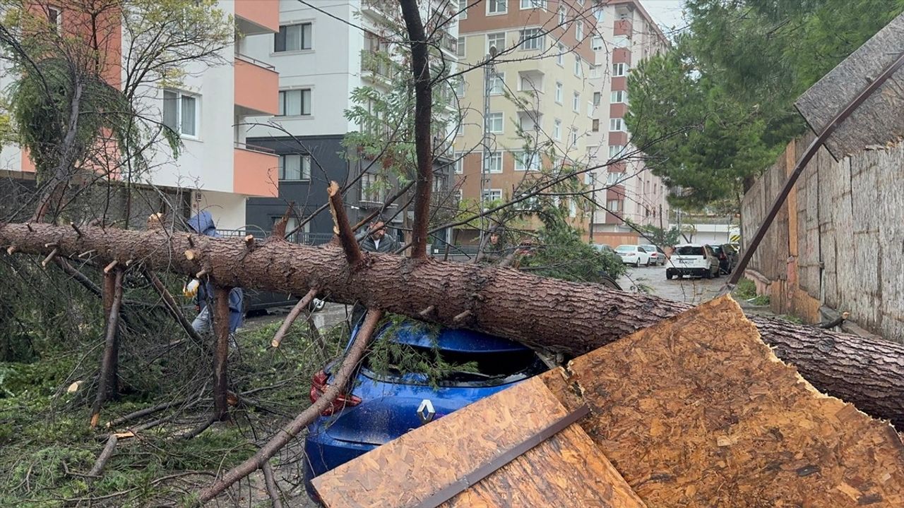 Kartal'da Şiddetli Rüzgar Ağaç Devrildi