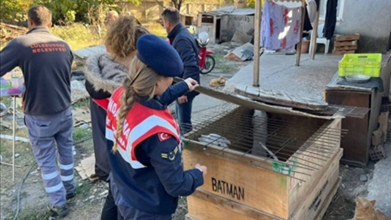 Kırklareli'nde Yasaklı Irk Köpek Besleyen Kişiye Ağır Ceza